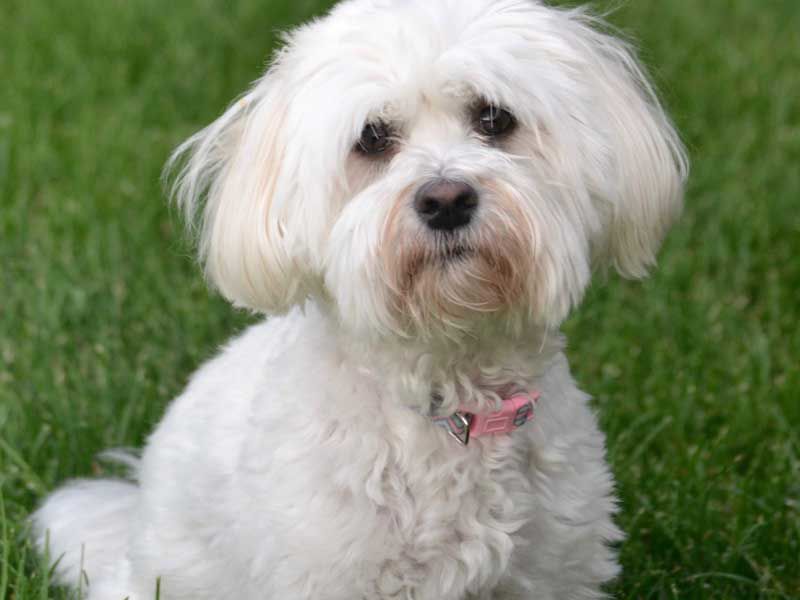 Sophie Friend